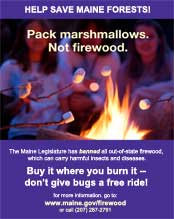 Buy it where you burn it, don't give bugs a free ride.