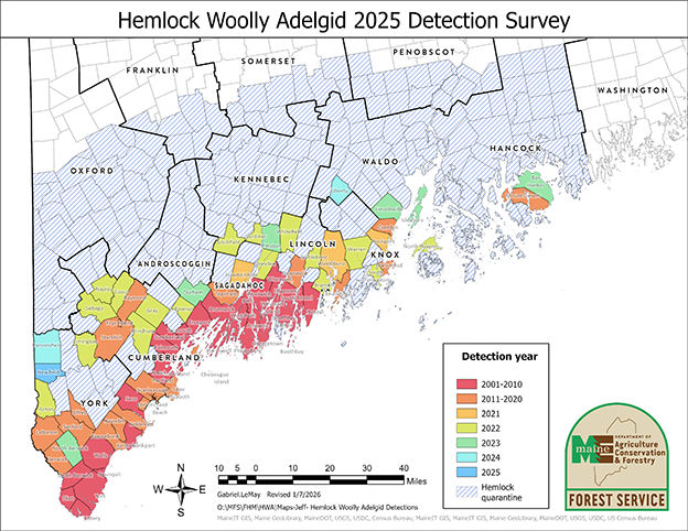 This is a map showing the detection survey for Hemwlock Woolly Adelgid in 2025.