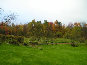 Lawrence Woodlot, Benton. Photo credit: Amanda Mahaffey