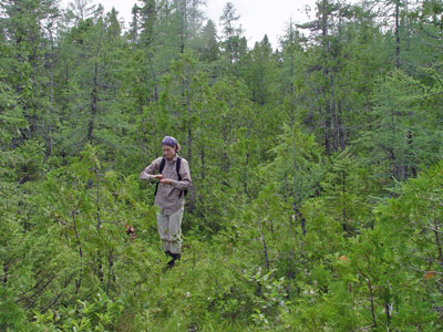 Picture of ecologist working in Open Cedar Fen community