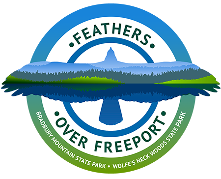 feathers over freeport logo