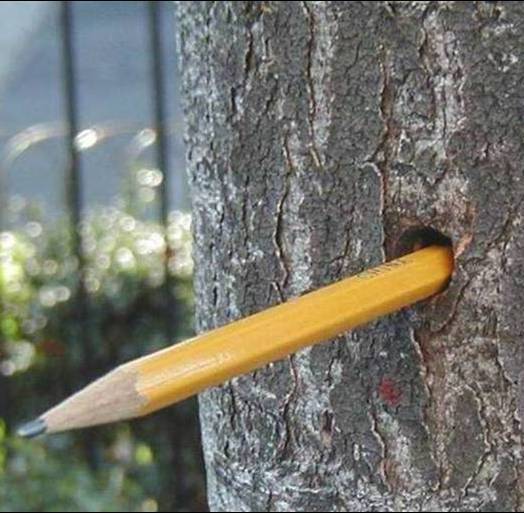 ALB exit hole with pencil