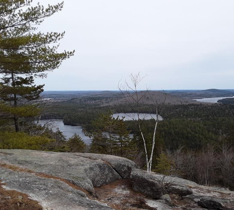 Water Quality Standards Docket, Maine Department of Environmental ...
