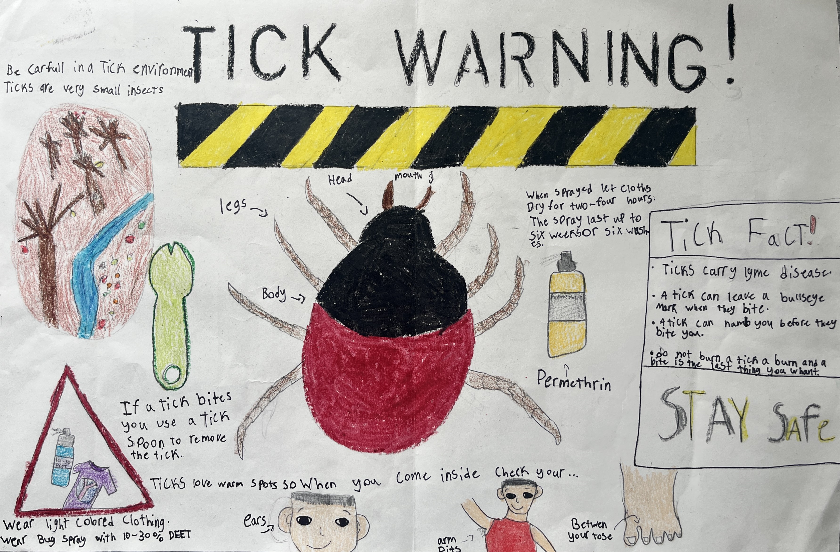 Haven K., Mattanawcook Junior High School, Grade 4-5 winning poster