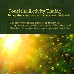 Social media image with text that says "Consider activity timing. Mosquitoes are most active at dawn and dusk. Consider moving outdoor activity to a time when mosquitoes are less active. If this isn't possible, make sure all attendees have access to EPA-approved insect repellents."
