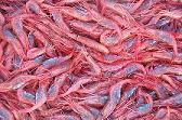 Shrimp by Anne Simpson