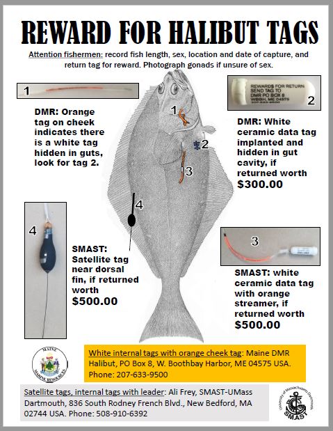 Select picture for larger version (PDF)