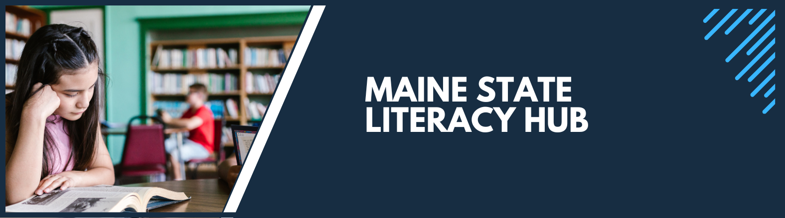 Literacy Hub Banner