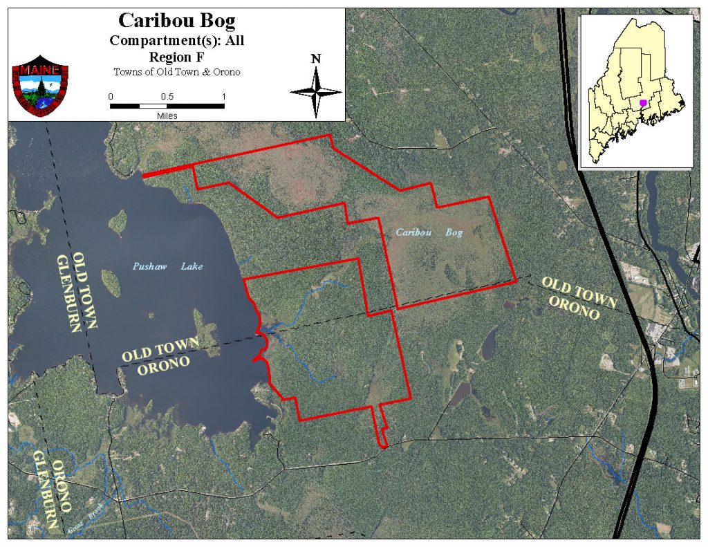 caribou-bog-aerial