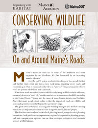 Conserving Wildlife on and Around Maine’s Roads (PDF)