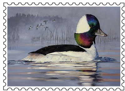 2025 Duck Stamp